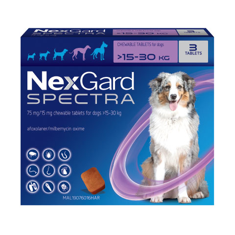 NexGard Spectra for Large Dogs