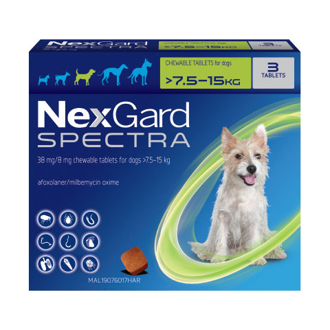 NexGard Spectra for Medium Dogs