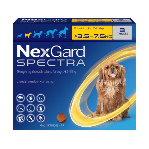 NexGard Spectra for Small Dogs
