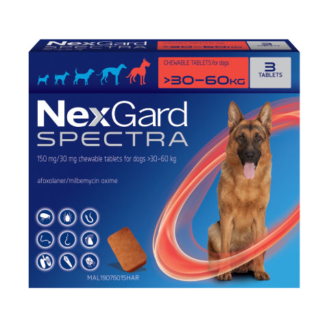 NexGard Spectra for Extra Large Dogs