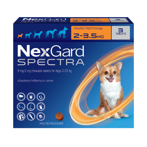 NexGard Spectra for Extra Small Dogs