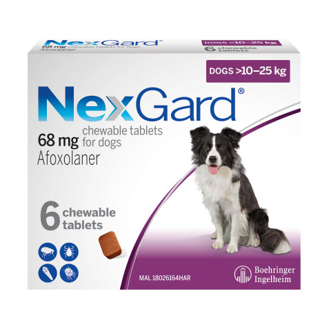 NexGard for Dogs Large