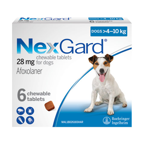 NexGard for Dogs Medium