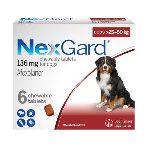 NexGard for Dogs Extra Large