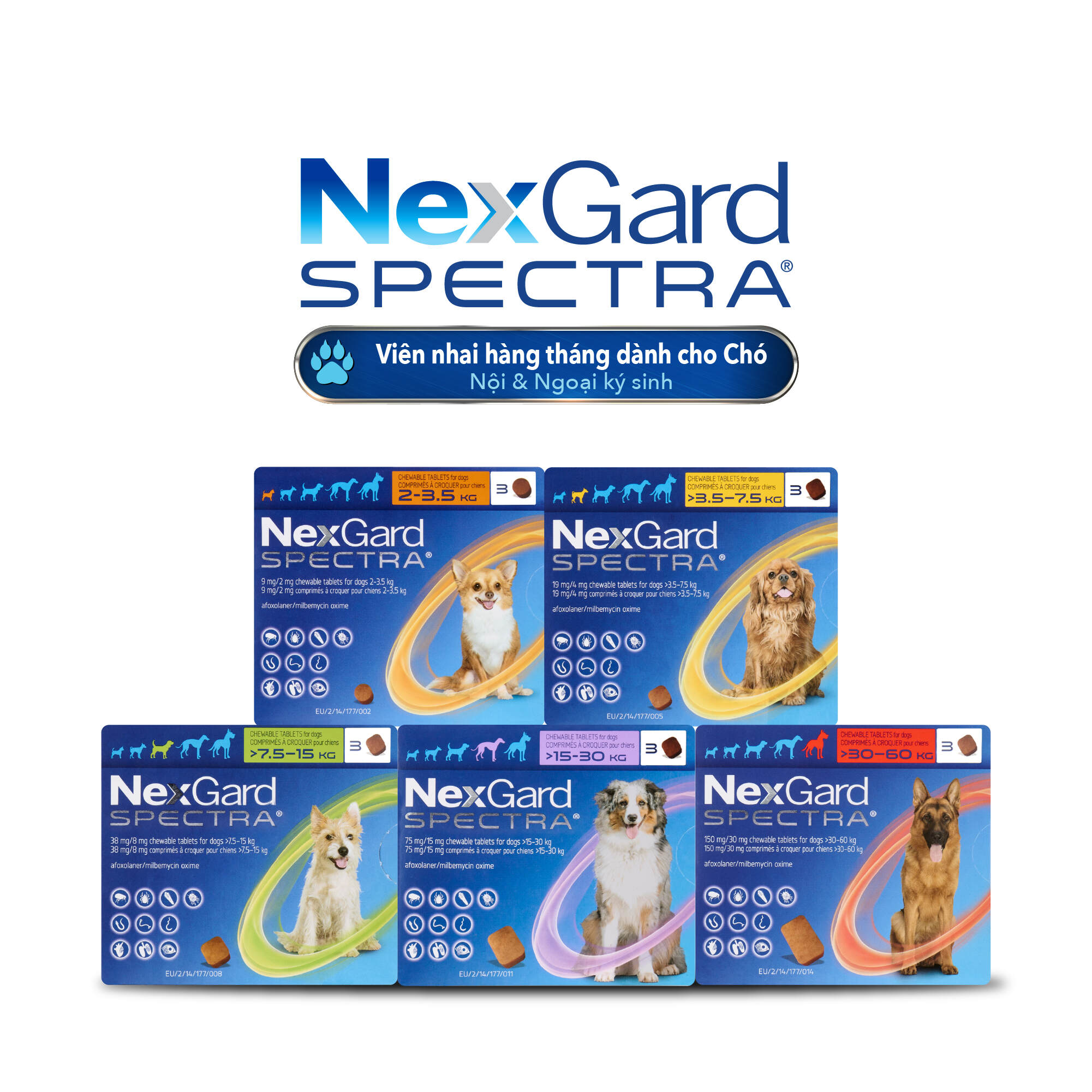 NexGard Spectra for Dogs All Sizes